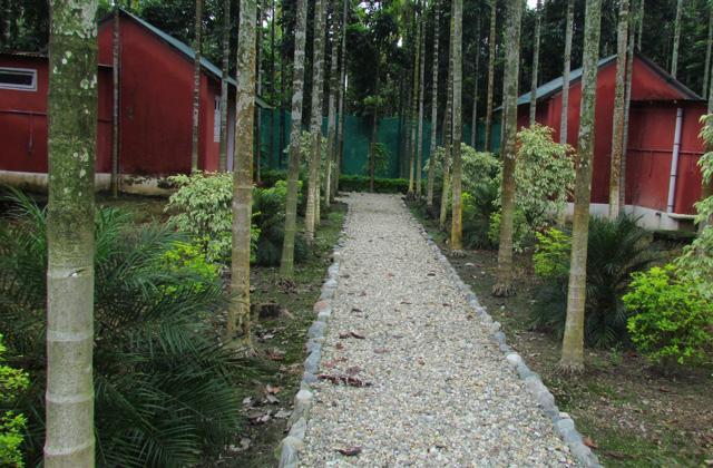 Resort Jayanti Hills Jungle Camp Rajabhat Khawa Extérieur photo