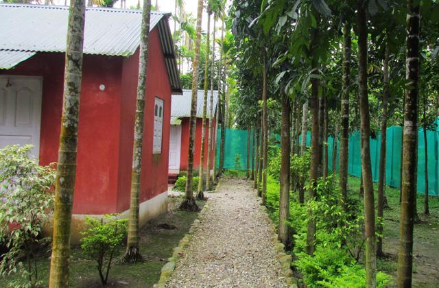 Resort Jayanti Hills Jungle Camp Rajabhat Khawa Extérieur photo